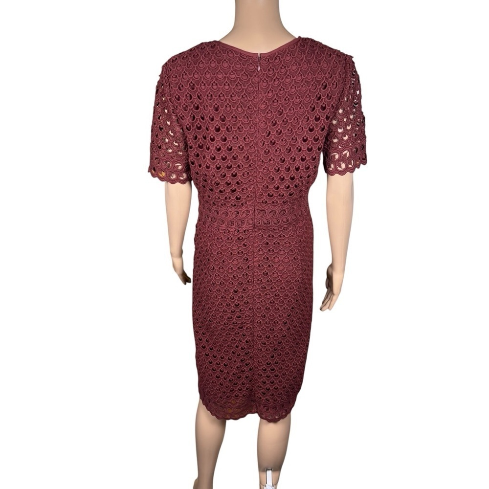 NWT New Ann Taylor Tulip Lace Cotton Burgundy Dress Size 10 - Picture 5 of 11